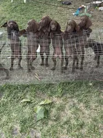 processed/f3825896-7594-40ed-a7ed-335f95137786/facility/d798fe47-f70d-4c49-b636-811d380cd47b