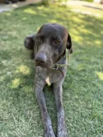 processed/f3825896-7594-40ed-a7ed-335f95137786/listing/2f300652-a82f-4245-b92b-6aafb3e74561/2fd8a306-928e-4005-8815-28568548851d