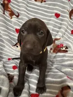 processed/f3825896-7594-40ed-a7ed-335f95137786/listing/2f300652-a82f-4245-b92b-6aafb3e74561/627d17ef-c06c-4925-b3c4-668c3f14caf4