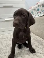 processed/f3825896-7594-40ed-a7ed-335f95137786/listing/2f300652-a82f-4245-b92b-6aafb3e74561/94100119-cdde-4678-ae65-a69de2c65e53