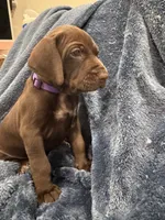 processed/f3825896-7594-40ed-a7ed-335f95137786/listing/6e20daf6-3ccb-4da1-ae3d-4d0c7aa2391e/1519b119-7a65-4c0e-ae1e-24daad2a83a2