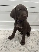 processed/f3825896-7594-40ed-a7ed-335f95137786/listing/6e20daf6-3ccb-4da1-ae3d-4d0c7aa2391e/3beba132-4676-49f2-910d-a8496c01f061