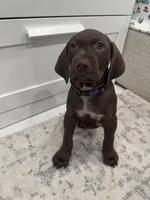 processed/f3825896-7594-40ed-a7ed-335f95137786/listing/6e20daf6-3ccb-4da1-ae3d-4d0c7aa2391e/b743ff07-3535-4109-8fb3-5d31a54c489e