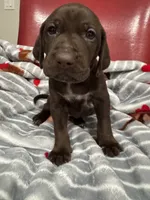 processed/f3825896-7594-40ed-a7ed-335f95137786/listing/6e20daf6-3ccb-4da1-ae3d-4d0c7aa2391e/be639758-b03d-4e2e-9373-b9e76114f442