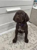 processed/f3825896-7594-40ed-a7ed-335f95137786/listing/6e20daf6-3ccb-4da1-ae3d-4d0c7aa2391e/c5a8e0ea-b3e8-4e80-b792-1bdc547e435f