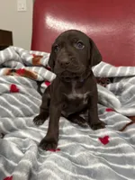 processed/f3825896-7594-40ed-a7ed-335f95137786/listing/6e20daf6-3ccb-4da1-ae3d-4d0c7aa2391e/d634fdb1-c1ac-4707-b297-597ece9ba7d3