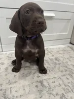 processed/f3825896-7594-40ed-a7ed-335f95137786/listing/6e20daf6-3ccb-4da1-ae3d-4d0c7aa2391e/e4a3aa59-8fd8-4e31-a8b0-bd375c805403