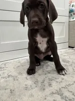 processed/f3825896-7594-40ed-a7ed-335f95137786/listing/8da60008-6a2d-4796-aa06-530a11470db9/02b45e91-7acb-4b74-a0f1-d2b33dac5453