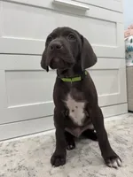 processed/f3825896-7594-40ed-a7ed-335f95137786/listing/8da60008-6a2d-4796-aa06-530a11470db9/03a06301-23da-41cf-901c-0aa785fdc489