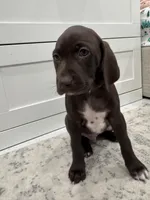 processed/f3825896-7594-40ed-a7ed-335f95137786/listing/8da60008-6a2d-4796-aa06-530a11470db9/4dd54361-d83b-4683-9b26-090abf03a52c