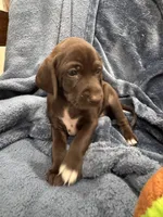 processed/f3825896-7594-40ed-a7ed-335f95137786/listing/8da60008-6a2d-4796-aa06-530a11470db9/5c5754ff-7b3e-465f-b646-4fc9276c3de2