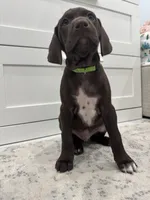 processed/f3825896-7594-40ed-a7ed-335f95137786/listing/8da60008-6a2d-4796-aa06-530a11470db9/840dab62-fbc8-42b4-b4de-bb53d3dc313c