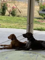 processed/f3825896-7594-40ed-a7ed-335f95137786/listing/8da60008-6a2d-4796-aa06-530a11470db9/92113bb5-5d80-4e6b-adc5-686c92105f50