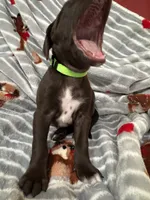 processed/f3825896-7594-40ed-a7ed-335f95137786/listing/8da60008-6a2d-4796-aa06-530a11470db9/d9b20e74-3756-415b-887b-9c1f9a022368