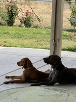 processed/f3825896-7594-40ed-a7ed-335f95137786/listing/dd488535-f641-49b7-a695-96d9cc3fb88f/dc3ccf8a-f2ee-43af-9113-d4396581b159