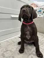 processed/f3825896-7594-40ed-a7ed-335f95137786/listing/dd488535-f641-49b7-a695-96d9cc3fb88f/dfa7f527-7ee2-4305-ae8a-0fe4804fa829