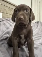 processed/f3825896-7594-40ed-a7ed-335f95137786/listing/dd488535-f641-49b7-a695-96d9cc3fb88f/f679e5fc-7f58-42a2-ac00-4f93c81e6f90