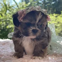 processed/f384b886-4342-4f4e-99f1-5936899fd9e6/facility/39acdf27-568f-42ca-bc07-e276da26f9d8