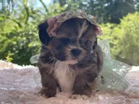 processed/f384b886-4342-4f4e-99f1-5936899fd9e6/facility/39acdf27-568f-42ca-bc07-e276da26f9d8