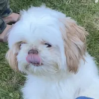 processed/f384b886-4342-4f4e-99f1-5936899fd9e6/facility/50d33122-99e5-4c2a-afcf-574d9b17c0c5