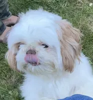 processed/f384b886-4342-4f4e-99f1-5936899fd9e6/facility/50d33122-99e5-4c2a-afcf-574d9b17c0c5