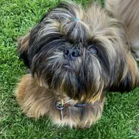 processed/f384b886-4342-4f4e-99f1-5936899fd9e6/facility/7630c048-85c7-4c08-bc27-455e479a61dd