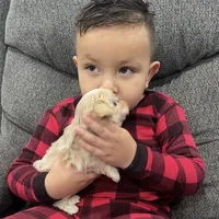 processed/f384b886-4342-4f4e-99f1-5936899fd9e6/facility/950da3b6-cf4e-4f45-a7fb-8e2381d73dc2