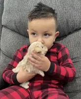 processed/f384b886-4342-4f4e-99f1-5936899fd9e6/facility/950da3b6-cf4e-4f45-a7fb-8e2381d73dc2