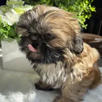 processed/f384b886-4342-4f4e-99f1-5936899fd9e6/facility/c16d3ba7-bfd2-4370-9189-75b6b601e15b