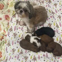 processed/f384b886-4342-4f4e-99f1-5936899fd9e6/facility/fe875458-fd39-454d-bfe1-8159bbd79d18