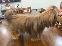 processed/f384b886-4342-4f4e-99f1-5936899fd9e6/listing/cc8cbc26-55c3-4729-8190-0e5f6d00842d/40daf1a0-fa22-449e-a69e-5da71d473b0c