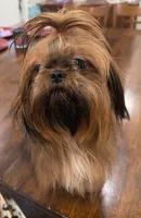 processed/f384b886-4342-4f4e-99f1-5936899fd9e6/listing/cc8cbc26-55c3-4729-8190-0e5f6d00842d/4570ad57-7b02-495b-ab65-040de526c083