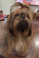 processed/f384b886-4342-4f4e-99f1-5936899fd9e6/listing/cc8cbc26-55c3-4729-8190-0e5f6d00842d/6f97bc4e-83d5-43c4-8d28-daac1c02169e