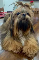 processed/f384b886-4342-4f4e-99f1-5936899fd9e6/listing/cc8cbc26-55c3-4729-8190-0e5f6d00842d/b6808245-29cd-4eda-bff3-2e63155d8430