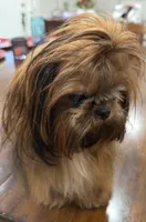 processed/f384b886-4342-4f4e-99f1-5936899fd9e6/listing/cc8cbc26-55c3-4729-8190-0e5f6d00842d/bb697978-2566-431f-bef5-ea7468db9376