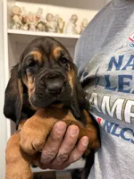 processed/f388c84a-a4e0-4db6-9cb4-6c086c12ba6a/listing/06339438-3026-4fc5-8761-f6bf68130d00/af3baea0-9922-468f-8bcd-f55b8b9da76d