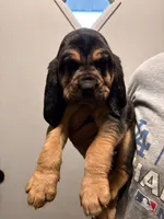 processed/f388c84a-a4e0-4db6-9cb4-6c086c12ba6a/listing/06339438-3026-4fc5-8761-f6bf68130d00/ef17fd0f-2964-43b3-9bca-16f98a9c54ea