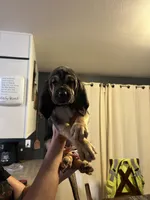 processed/f388c84a-a4e0-4db6-9cb4-6c086c12ba6a/listing/4640b6f6-ef39-4bee-b993-2991127b924c/0a2dd2c8-9c92-4e6e-8b66-03104155df25