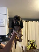 processed/f388c84a-a4e0-4db6-9cb4-6c086c12ba6a/listing/4640b6f6-ef39-4bee-b993-2991127b924c/272afa64-e75e-42c0-bdc6-8bbf1b6c8cfc