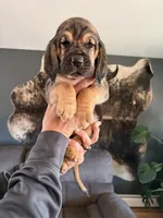 processed/f388c84a-a4e0-4db6-9cb4-6c086c12ba6a/listing/4640b6f6-ef39-4bee-b993-2991127b924c/d3c3b6a6-0b83-45a2-b773-a6e275b83fff