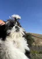 processed/f39c3893-4978-47d9-9f42-0baa5a8df721/listing/1e8d6f42-3cc8-45d9-b8b9-af31b2d46207/3fa8e160-6a5d-42f9-86ae-7084753a9821