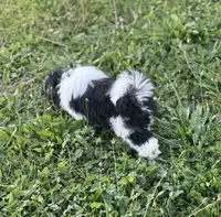 processed/f39c3893-4978-47d9-9f42-0baa5a8df721/listing/1e8d6f42-3cc8-45d9-b8b9-af31b2d46207/a4a90e1d-f7d7-428e-bf28-d365929676bb