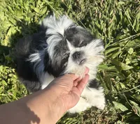 processed/f39c3893-4978-47d9-9f42-0baa5a8df721/listing/1e8d6f42-3cc8-45d9-b8b9-af31b2d46207/de924512-5b0a-44cf-a1e9-748504e8414b