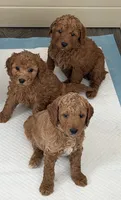 Facility photo