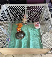 processed/f3acbf6a-345b-459b-b11f-b448c26abecc/facility/69eba5ac-85cb-4800-85ce-d81b77d3d350