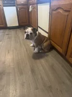 processed/f3b902a5-26a6-4d62-882d-42612823e965/listing/4579dba7-702e-4a25-b1e7-314688ed0b15/a0f2b470-7e57-43ef-91cf-75c49f5085ee