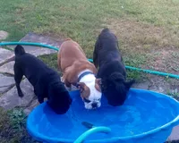 processed/f3b902a5-26a6-4d62-882d-42612823e965/listing/4579dba7-702e-4a25-b1e7-314688ed0b15/bf9e277a-dbaf-4b4c-bc94-e355c743a9c7