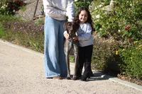 Rocky, a male German Shorthaired Pointer for sale in Rancho Cucamonga, CA – Photo 2 of 2