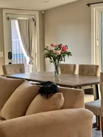 Mimi , a female Miniature Dachshund for sale in Rancho Cucamonga, CA – Photo 4 of 5