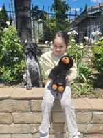 Rocky, a male German Shorthaired Pointer for sale in Rancho Cucamonga, CA – 4 of 7